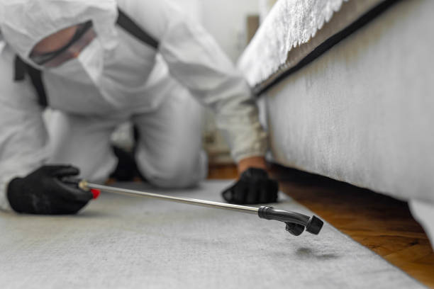 Professional Termite Control technician working in Childress, TX