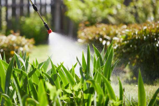 24/7 Emergency Termite Control experts in Childress, TX