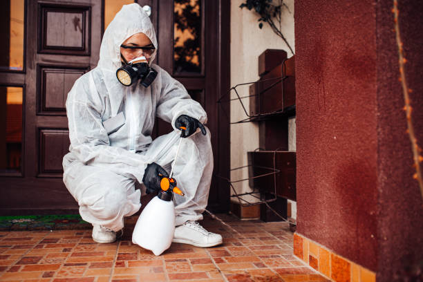 Reliable Termite Control contractor in Childress, TX by Nex Pest Control